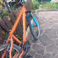 mountain bike