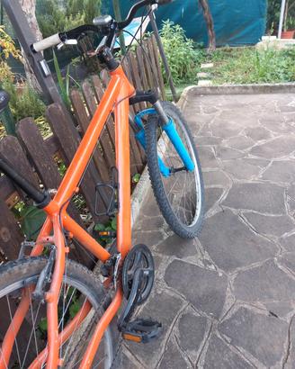 mountain bike