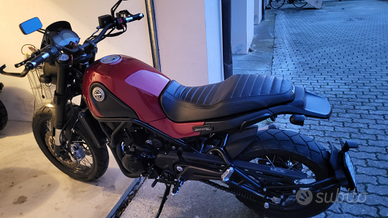 Benelli leoncino 500 trail
