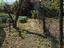 Immagine 11