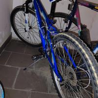 MTB Legnano Skull 24