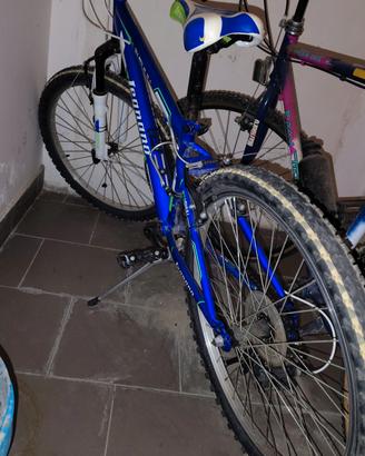 MTB Legnano Skull 24