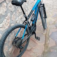 bici a pedalata assistita 