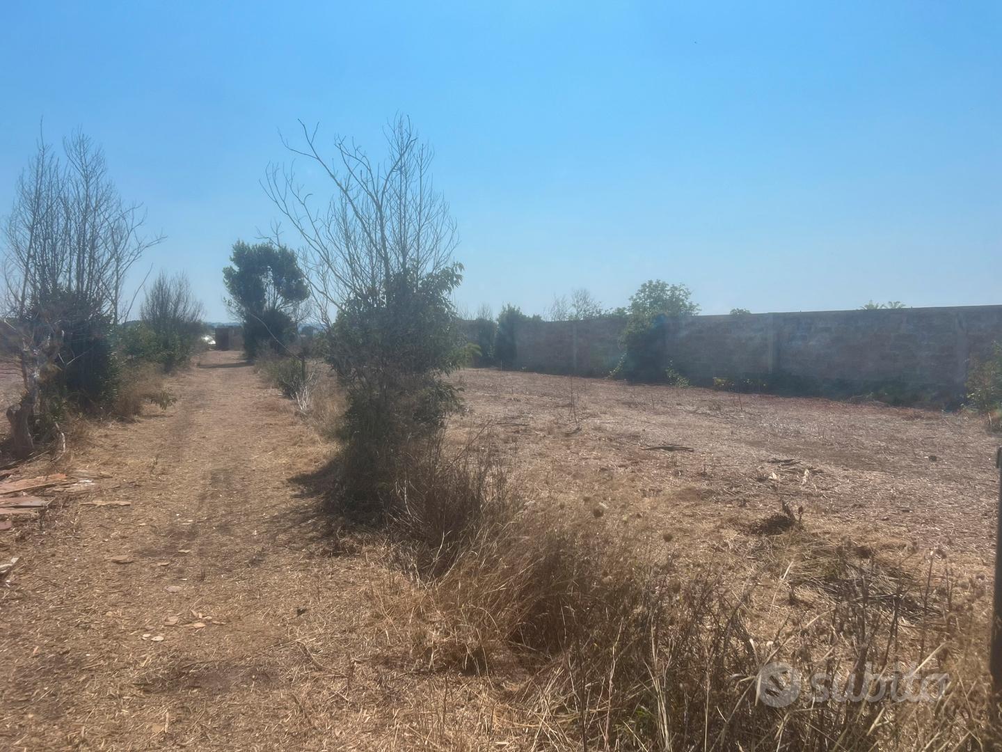 Terreno con rudere - Vista 3