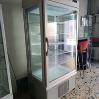 Vetrina espositiva temp. pos. +2 e negativ. -20