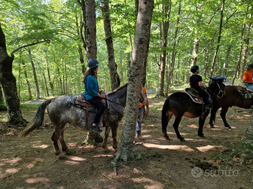 Appartamento a Valle del Sole a 20km da Pescocost