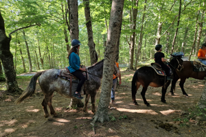 Appartamento a Valle del Sole a 20km da Pescocost