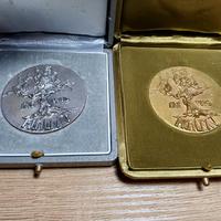 medaglie argento pontificie argento 800 