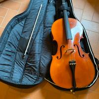 Violoncello