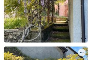 Vendita rustico con giardino