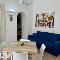 Monolocale arredato e climatizzato