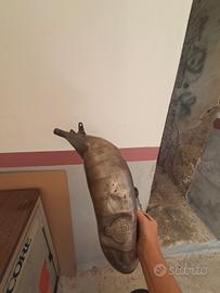 pancia scalvini 125 2t