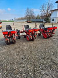 trapiantatrice pomodoro Checchi & Magli 3 file