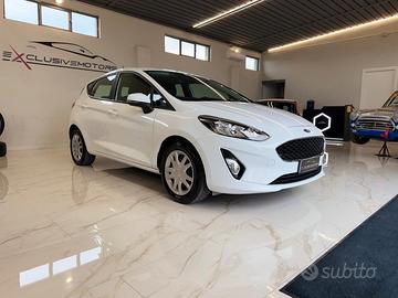 Ford Fiesta 1.0 Ecoboost Hybrid 125 CV 5 porte Bus