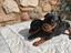 Immagine 4
