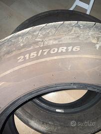 Gomme estive Nexen