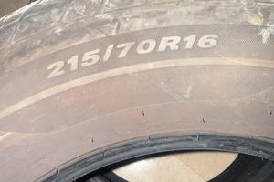 Gomme estive Nexen