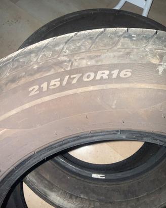 Gomme estive Nexen