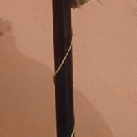 bottiglia vino gambo lungo chianti 