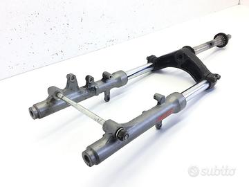 SUZUKI BURGMAN 150 FORCELLA FODERI STELI E PIASTRA