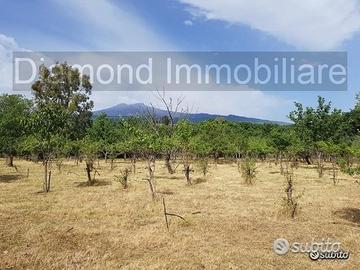 Terreno agricolo pianeggiante a Piedimonte Etneo