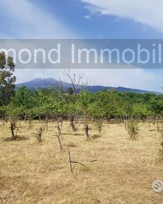 Terreno agricolo pianeggiante a Piedimonte Etneo