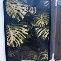 Ipad pro 11 m4 512gb cellular GARANZIA
