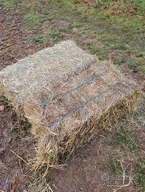 ballette fieno pacciamatura 