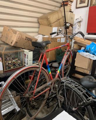 Bicicletta