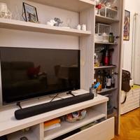 mobile tv