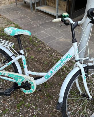 Bicicletta