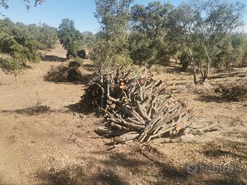 legna da ardere di quercia 