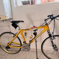 bicicletta Giant in carbonio