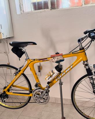 bicicletta Giant in carbonio