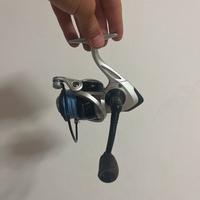Pesca