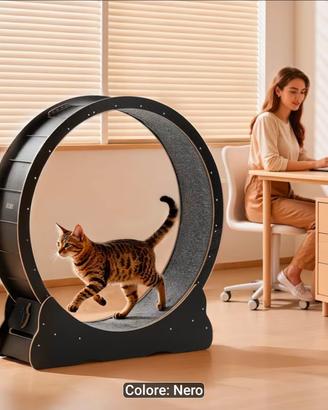 Ruota Tapis Roulant Gatti - Allenamento/Gioco