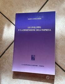 Libro sviluppo e coinvolgimento dell’impresa