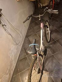 bici da donna