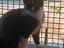 Immagine 5