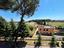 Immagine 7