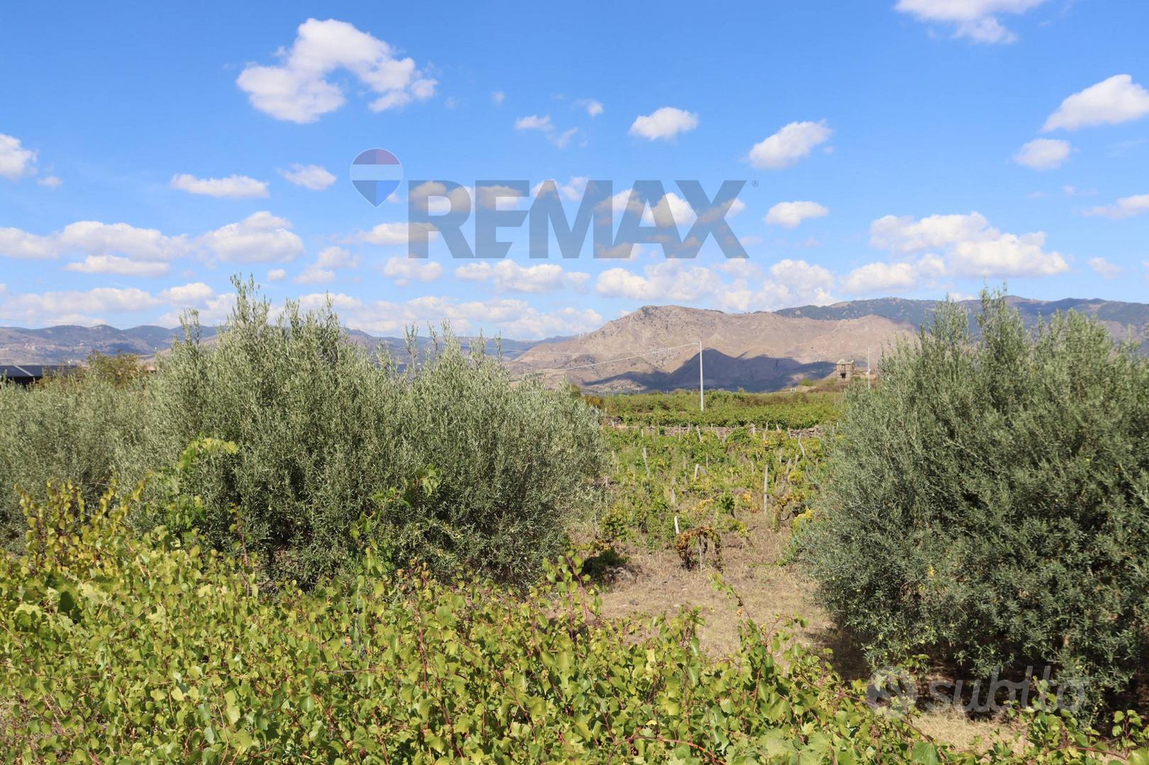 Terreno - Castiglione di Sicilia - Vista 3
