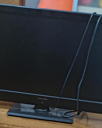televisore/monitor full HD schaub lorenz 22"