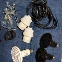 Riscaldamento terrari per ricci africani o rettili