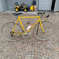 OLMO SPORTMAN ANNI 60