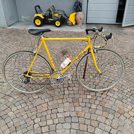 OLMO SPORTMAN ANNI 60