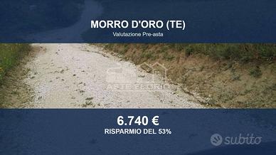Immobile in asta di 9460 m² a Morro d'Oro