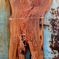 Asse di Ulivo Salentino numero 6