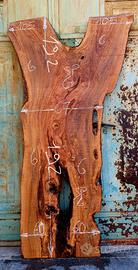 Asse di Ulivo Salentino numero 6