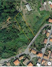 Terreno Francavilla Angitola