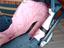 Immagine 2